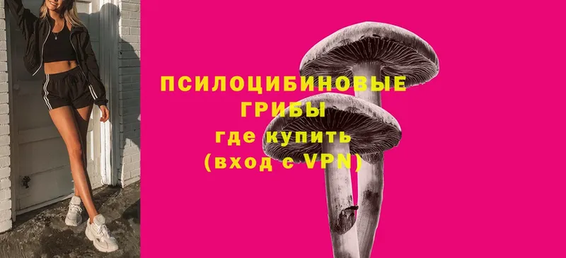 купить наркотик  Мензелинск  мега ONION  Псилоцибиновые грибы Psilocybe 